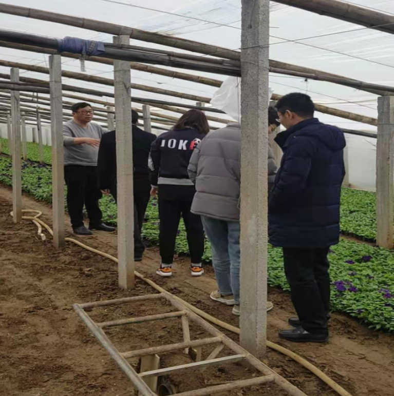 1616999402977828.jpg 1616999241(1).jpg