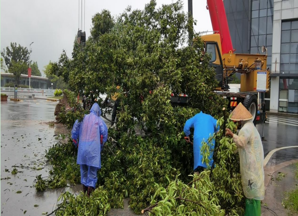 1627543038617259.png N8)P@4C{K503$33F{FZOBCY.png