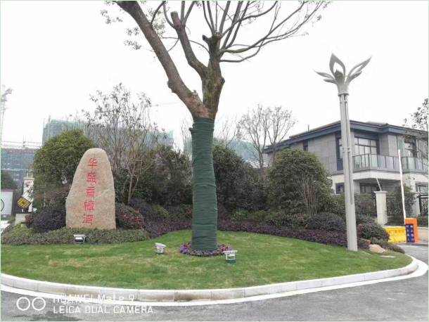 1630634378240816.png $UGSZUBF~}{MG~74G(9YPQ4.png